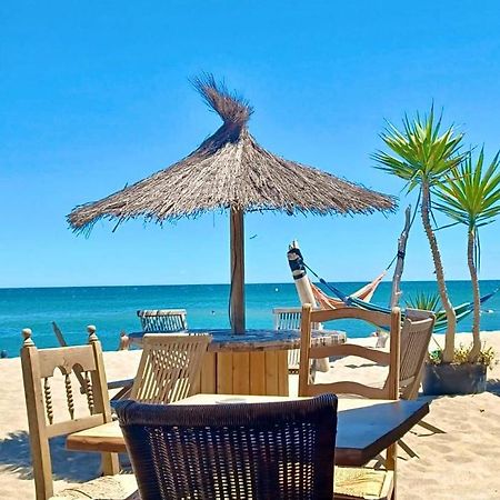 T3 Grande Terrasse Bord De Mer Le Barcarès Exteriör bild