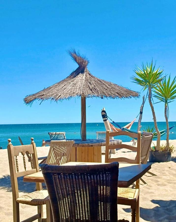 T3 Grande Terrasse Bord De Mer Le Barcarès Exteriör bild